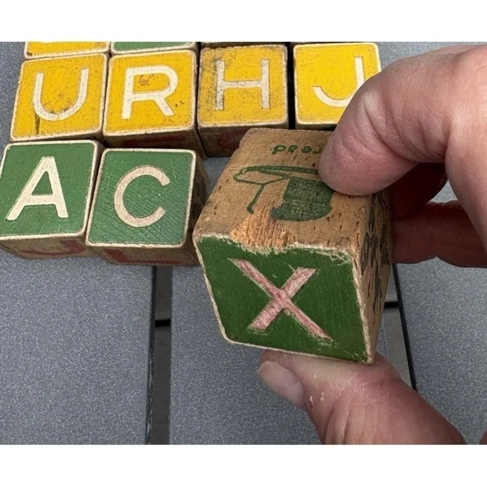 Vintage wood alphabet building blocks letters object animals pictures 1950's